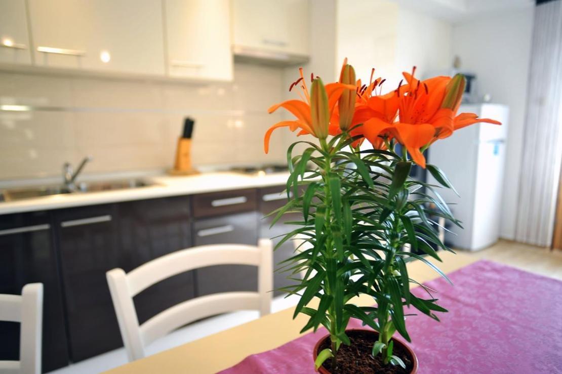 Apartmani Anita Medulin Exteriör bild
